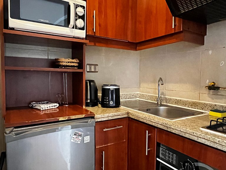 Apartamento Living Pastene (dp 313)
