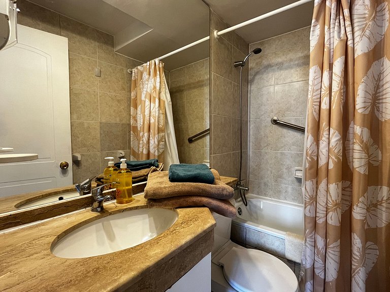 Apartamento Living Pastene (dp 313)