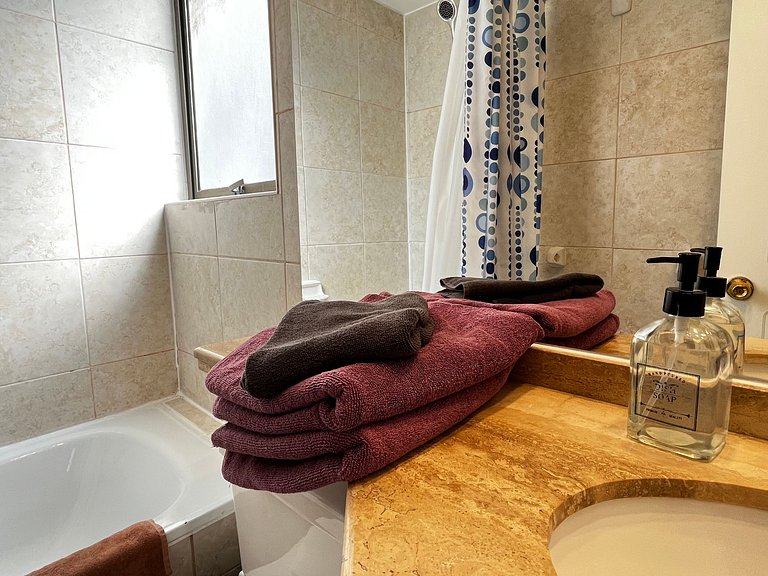 Apartamento Living Pastene (dp 409)