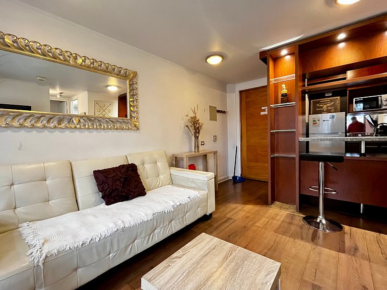 Apartamento Living Flores 4
