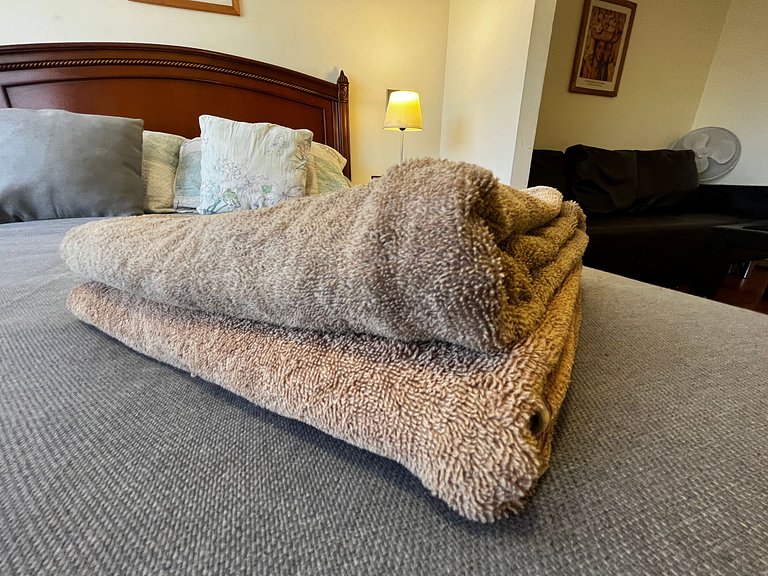 Apartamento Living Valdivia (dp 1005)