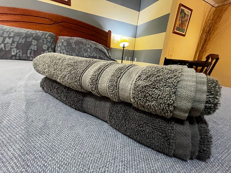 Apartamento Living Valdivia (dp 830)