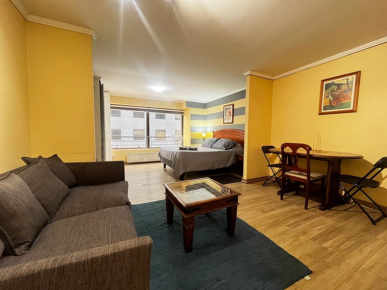 Apartamento Living Valdivia (dp 830)