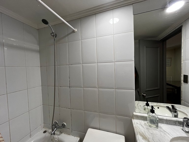 Living Valdivia Apartment (729)