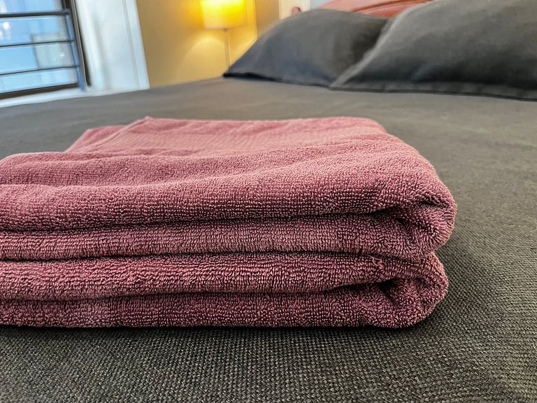 Apartamento Living Valdivia (729)