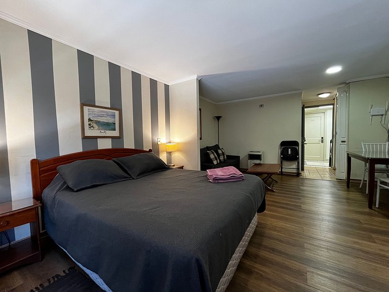 Living Valdivia Apartment (729)