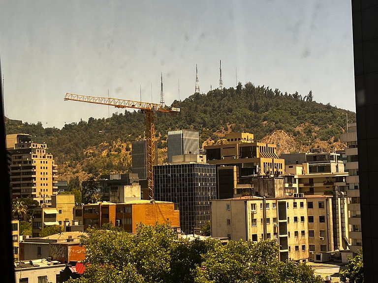 Living Valdivia Apartment (729)