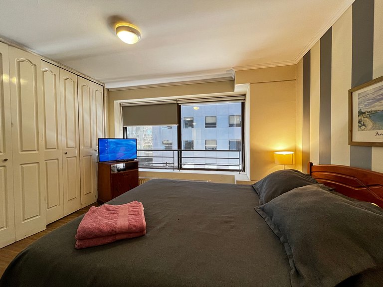 Apartamento Living Valdivia (729)