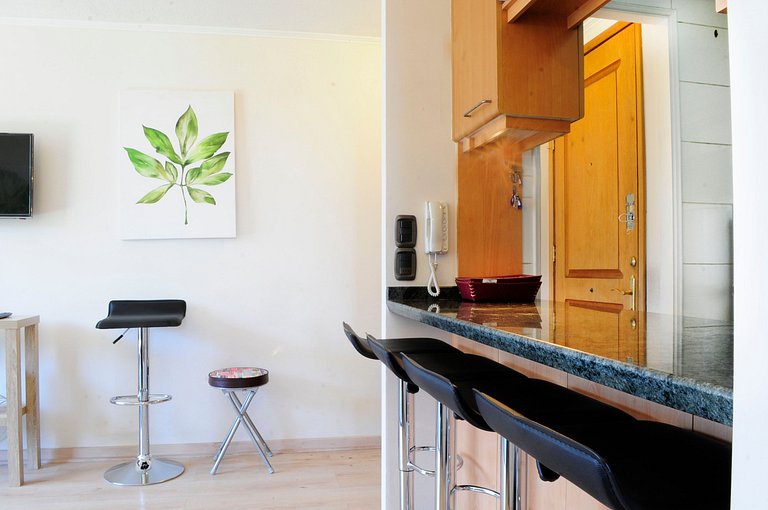 Living Montt Apartment (1507)